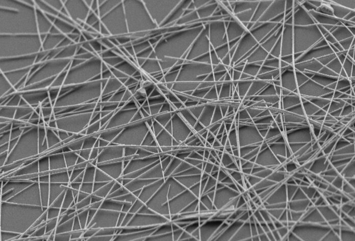 Nanoarchitetture neurali