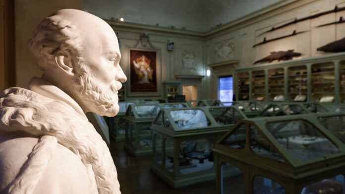 Arriva a Bologna la mostra di Arte e Scienza per il cinquecentenario della nascita di Ulisse Aldrovandi